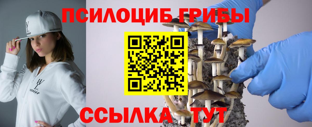 Псилоцибиновые грибы Psilocybe  Вход с VPN  Белгород 